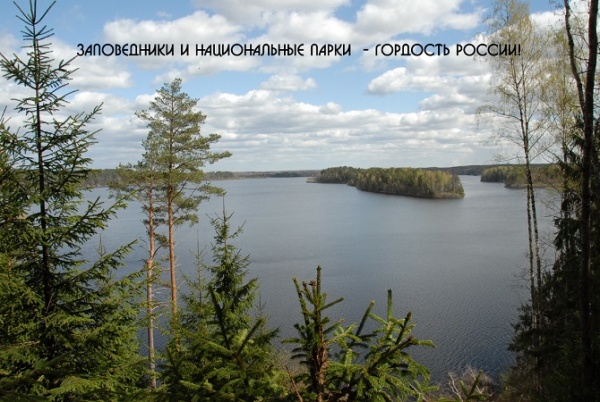 11 января - День заповедников и национальных парков 11 января - День заповедников и национальных парков