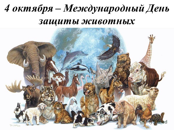 04 октября - Международный день защиты животных 04 октября - Международный день защиты животных