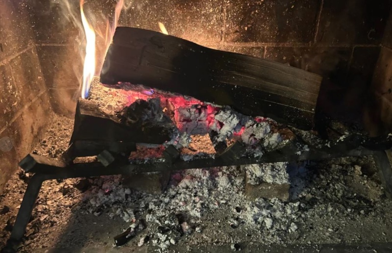 Можно ли использовать золу в саду?