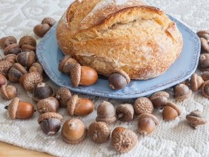 Желудевый хлеб - исторический рецепт